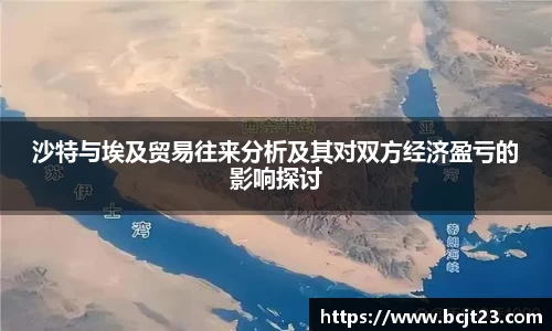 必一沙特与埃及贸易往来分析及其对双方经济盈亏的影响探讨
